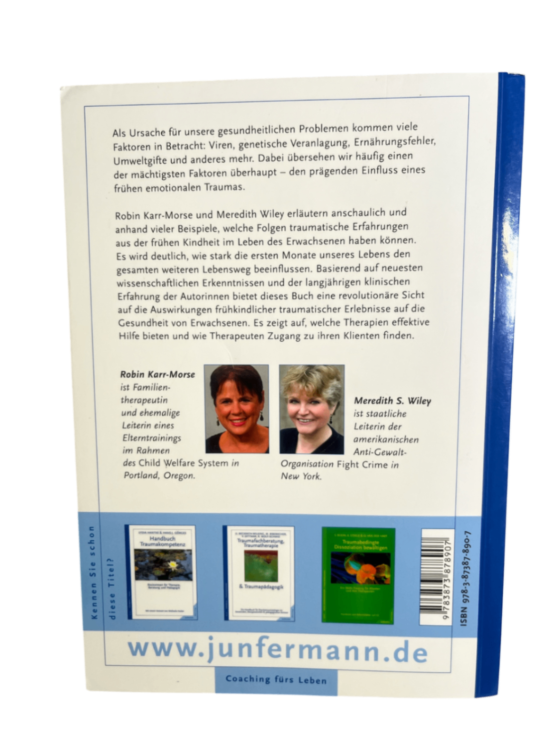 Taschenbuch Sich krank fühlen - 2013 - Taschenbuch
