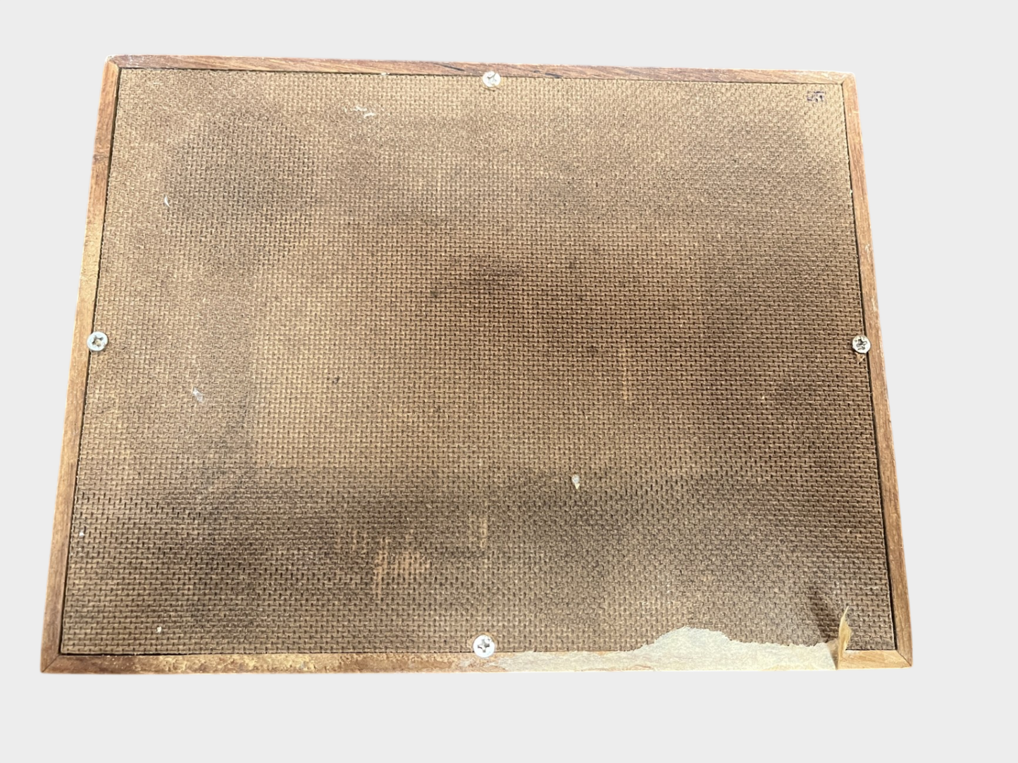 Insekten Sammlung Käfer Skorpion Präparate Schaukasten Holz 23 cm