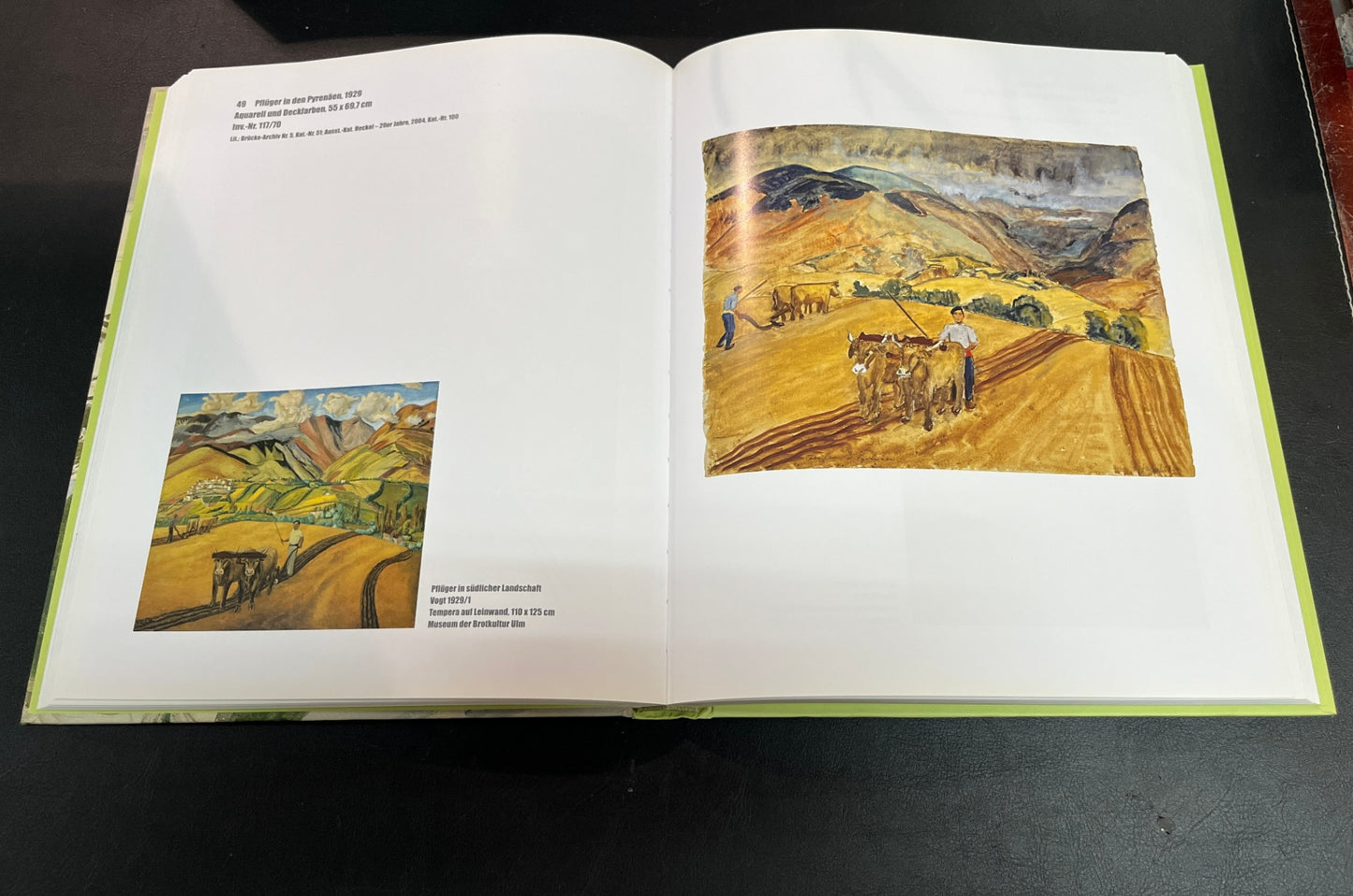 Erich Heckel Der stille Expressionist Hirmer Verlag Kunstbuch