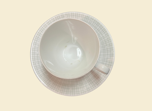 Arzberg Form 2025 Bastdekor Heinrich Löffelhardt Tasse Untertasse fleckig