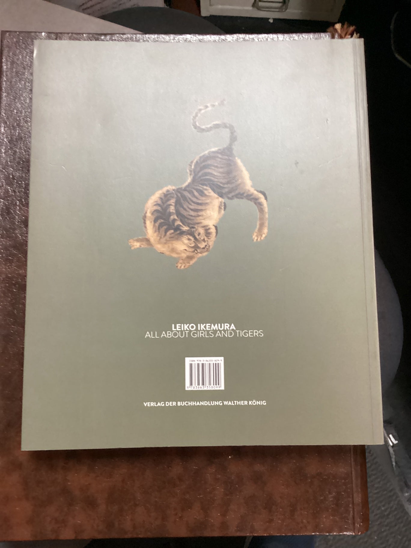 Leiko Ikemura – All About Girls and Tigers – Kunstbuch Köln 2015