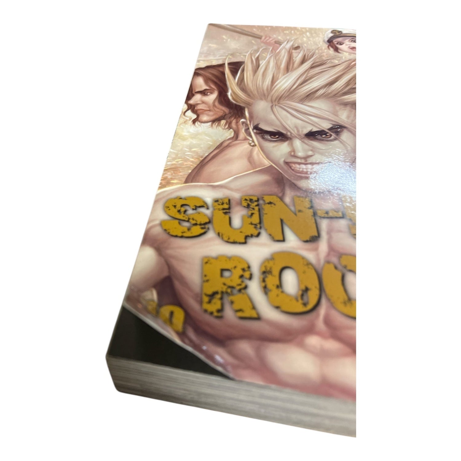 Manga Taschenbücher