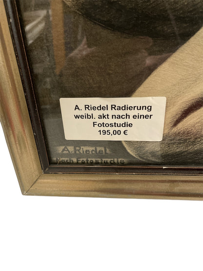 Radierung weibl. Akt nach einer Fotostudie A.Riedel 50% Reduziert