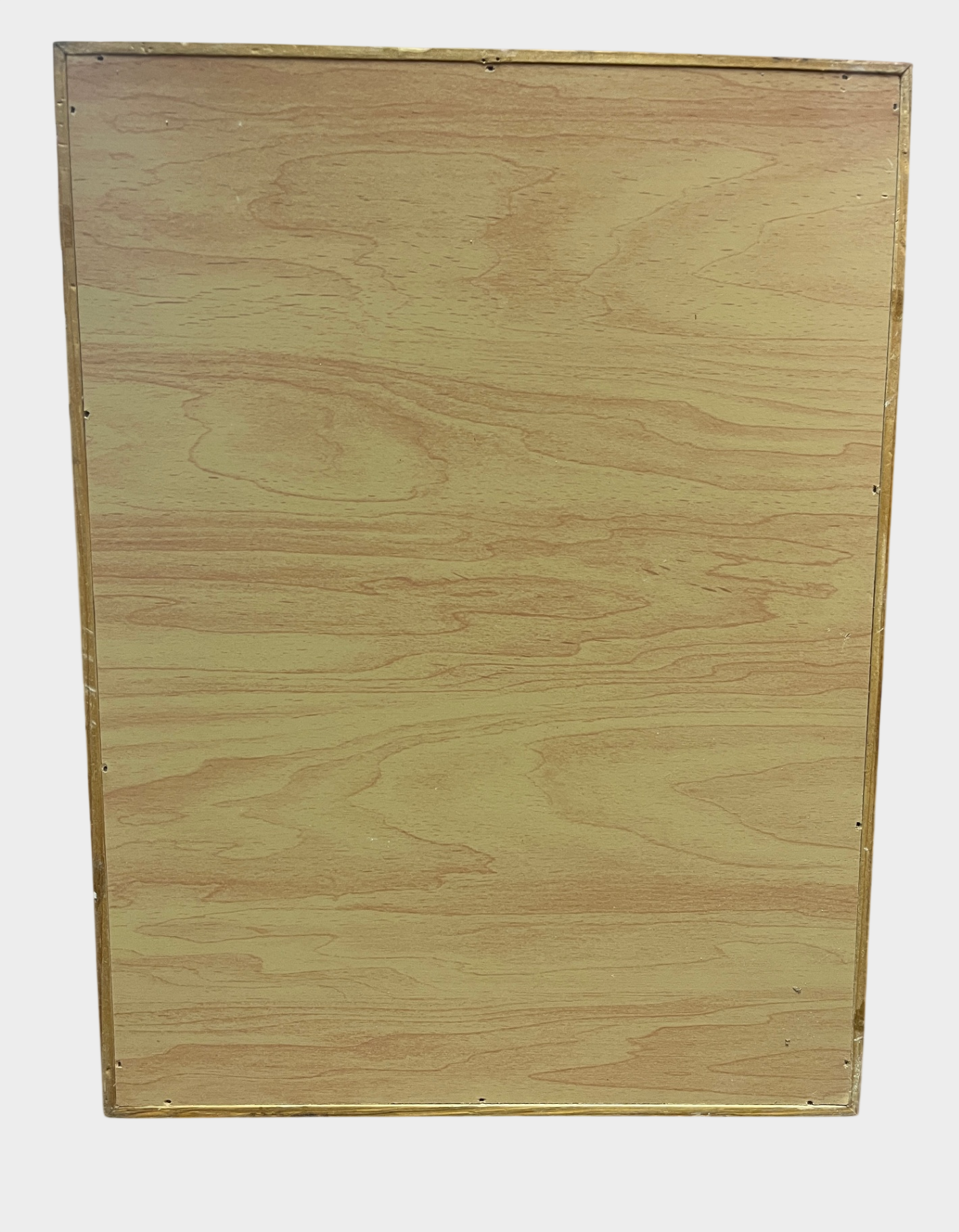 Exotische Schmetterlingssammlung im Holzrahmen