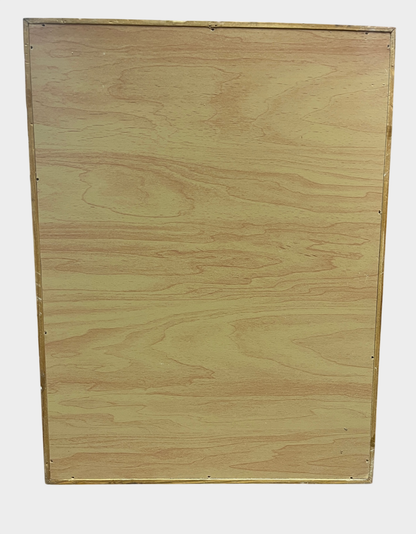 Exotische Schmetterlingssammlung im Holzrahmen