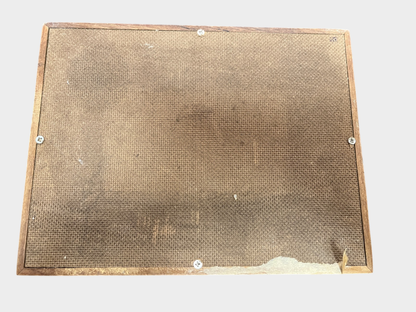 Insekten Sammlung Käfer Skorpion Präparate Schaukasten Holz 23 cm