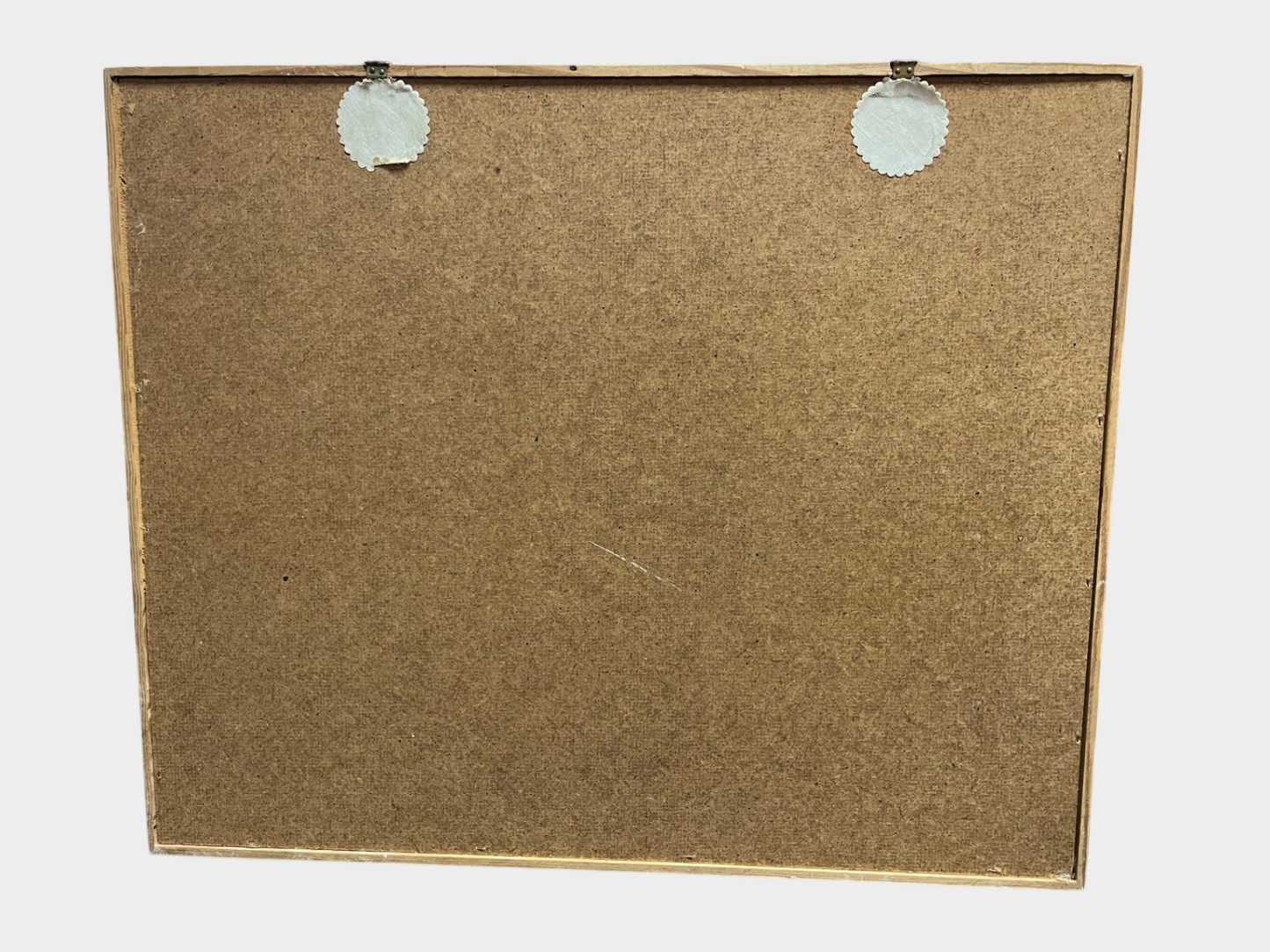 Schmetterlingssammlung Vitrine 25 Präparate Entomologie Naturkunde