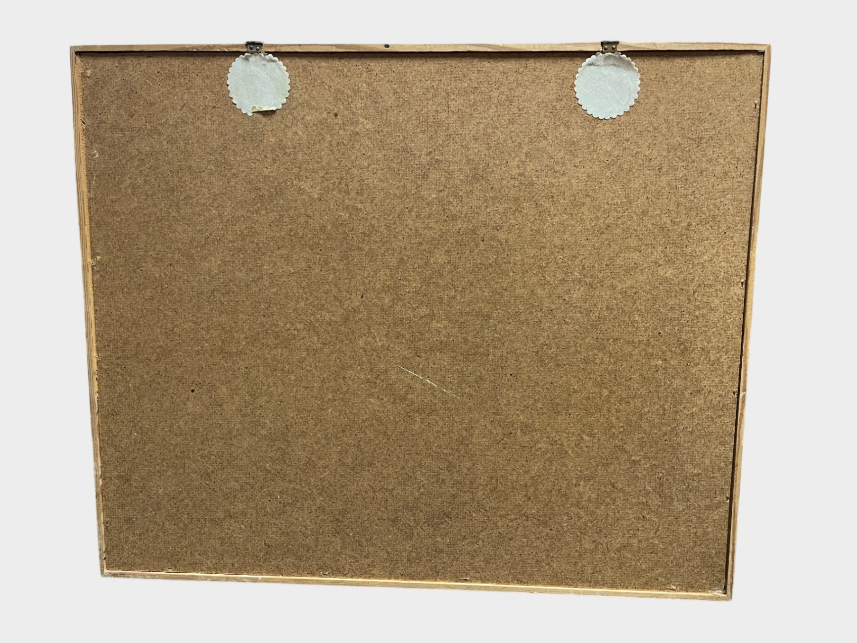 Schmetterlingssammlung Vitrine 25 Präparate Entomologie Naturkunde