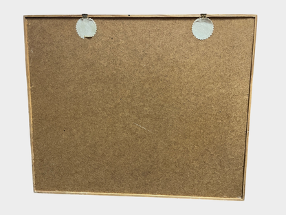 Schmetterlingssammlung Vitrine 25 Präparate Entomologie Naturkunde