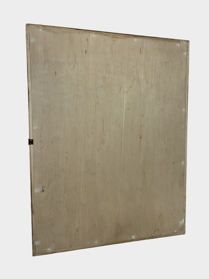 Insektensammlung Schaukasten Holz Glas Morpho Falter Schmetterling Käfer