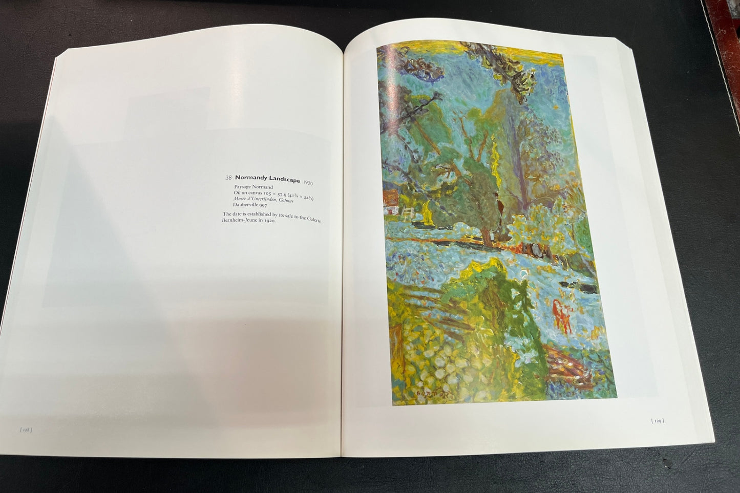 Pierre Bonnard Kunstbuch Hardcover Museum of Modern Art MoMA