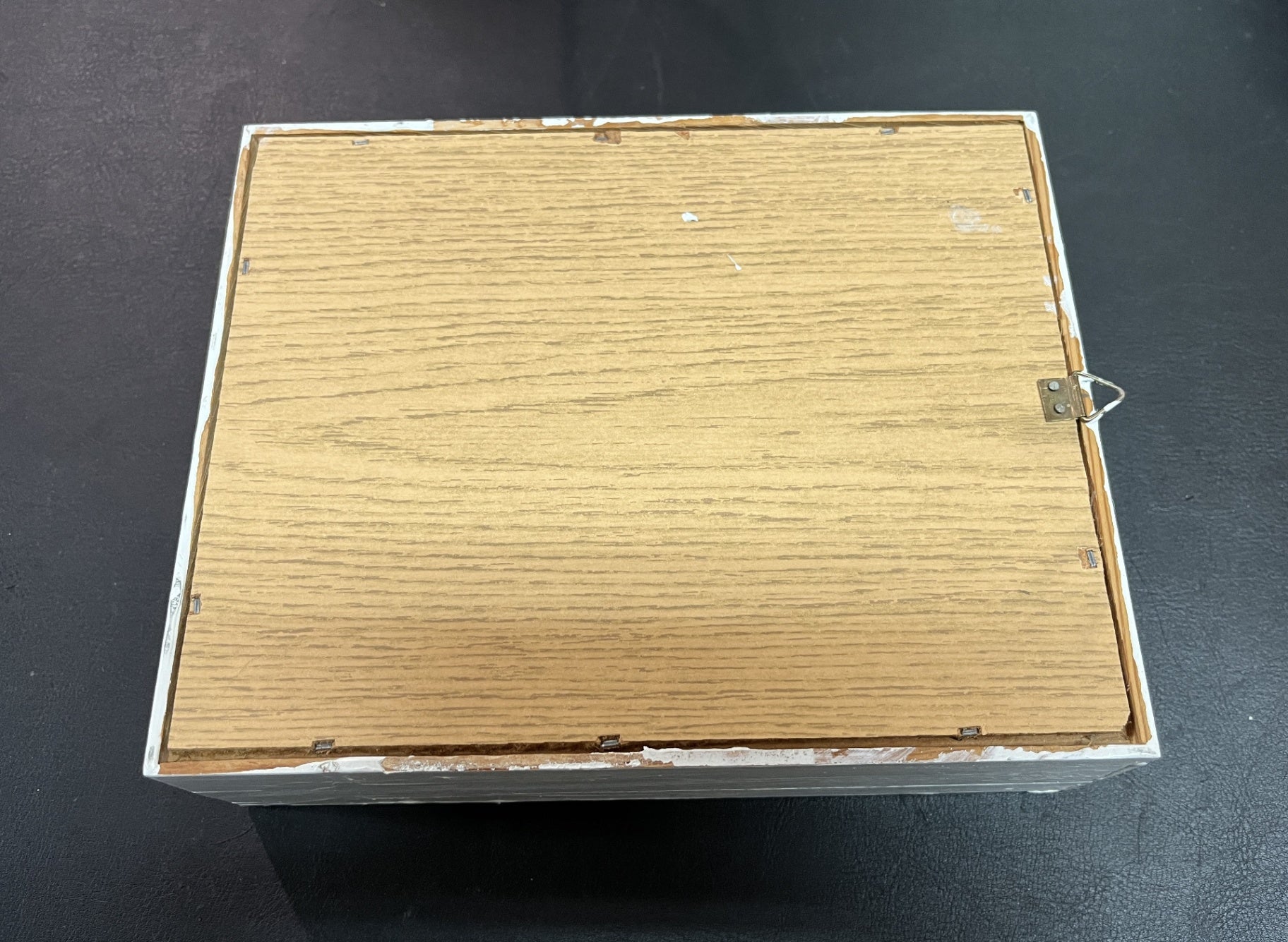Präparierter Krebs im Schaukasten Dekoration Naturkunde Vitrine