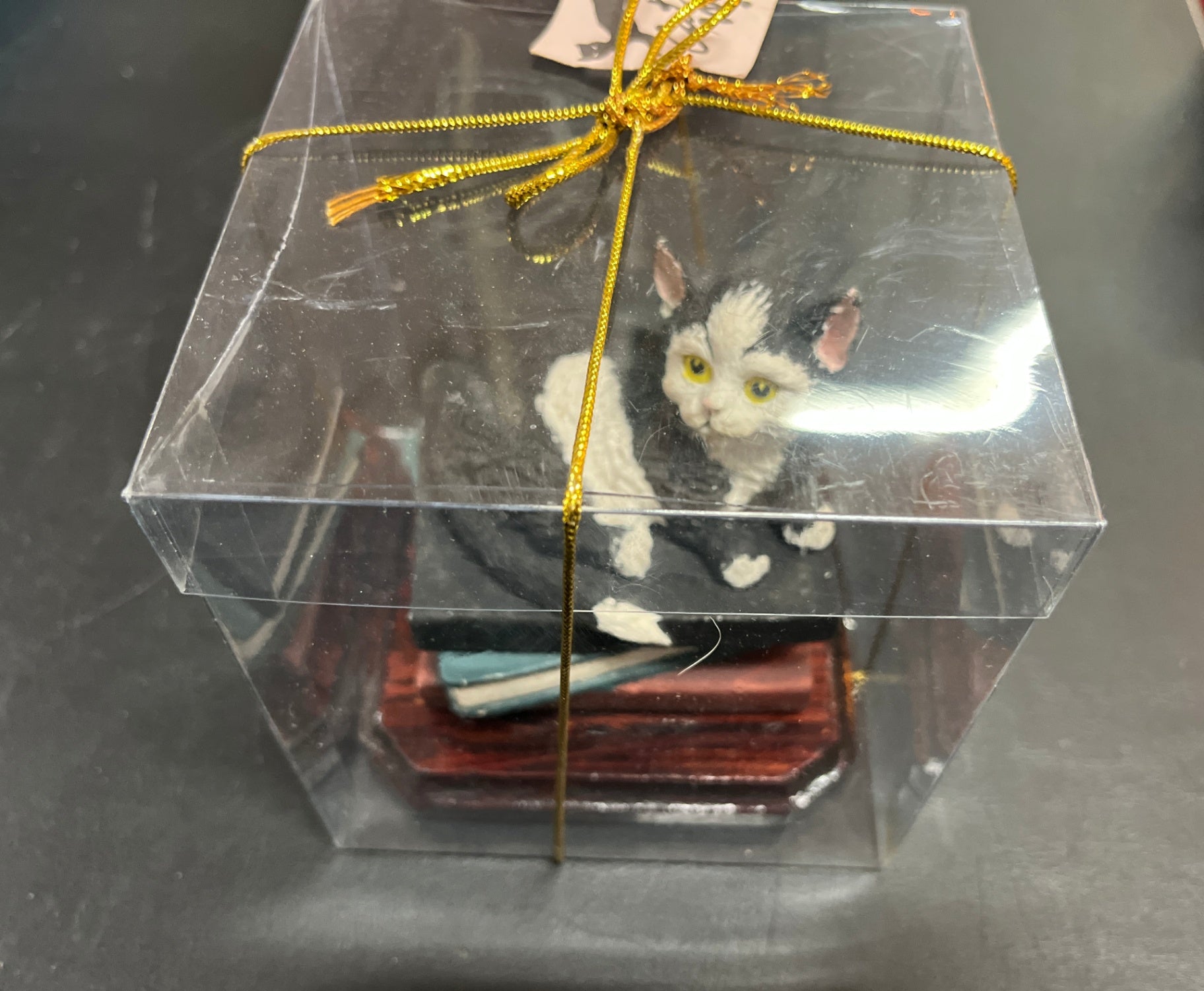 Cat Ink Katzenfigur Katze auf Büchern in Geschenkbox