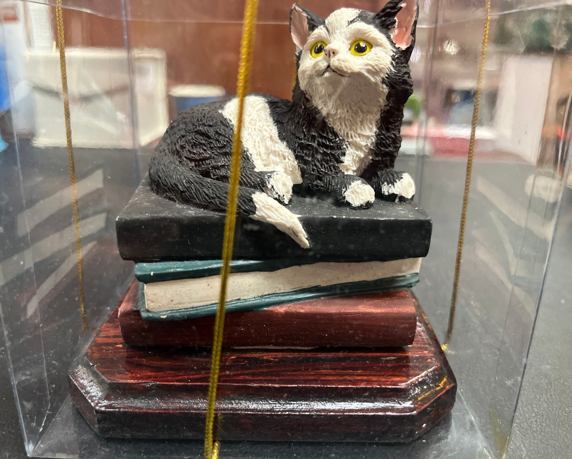 Cat Ink Katzenfigur Katze auf Büchern in Geschenkbox