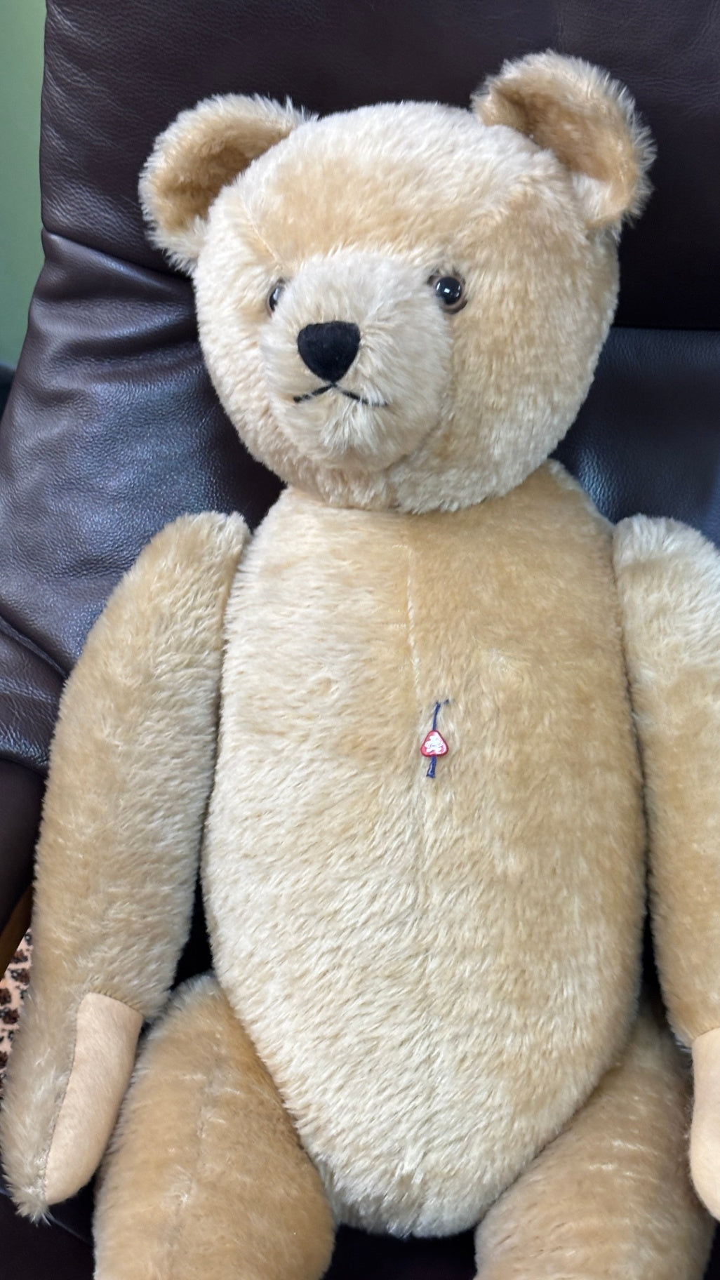 Großer Clemens Teddybär beige 75 cm mit Markenanhänger