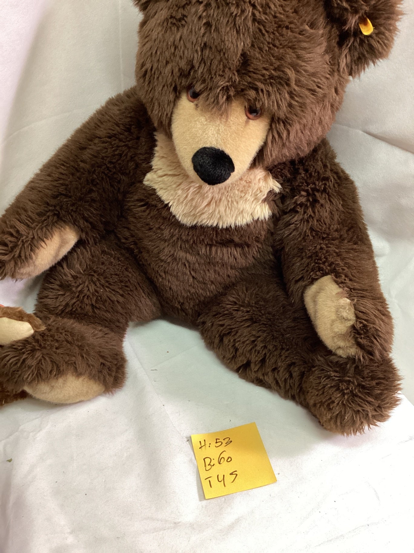 Steiff großer brauner Teddybär ca. 53 cm mit Knopf und Fahne