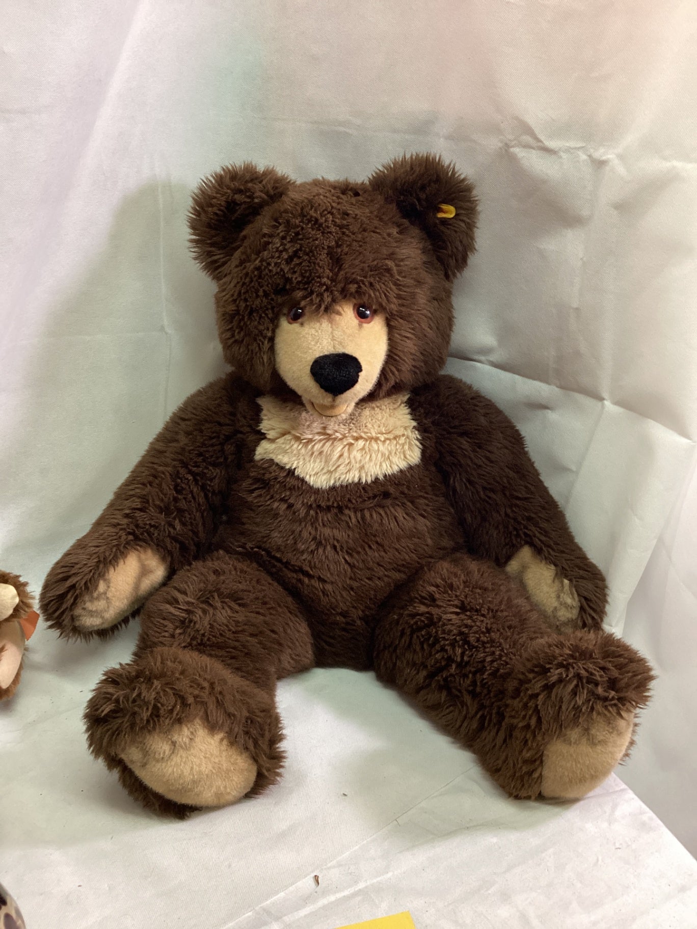 Steiff großer brauner Teddybär ca. 53 cm mit Knopf und Fahne