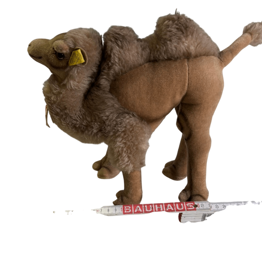 Steiff Cosy Kamel mit Knopf und Fahne PA55 MASS73 ca. 33 cm