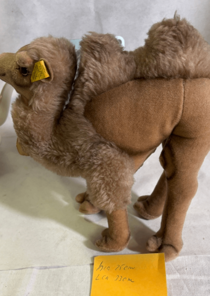 Steiff Cosy Kamel mit Knopf und Fahne PA55 MASS73 ca. 33 cm