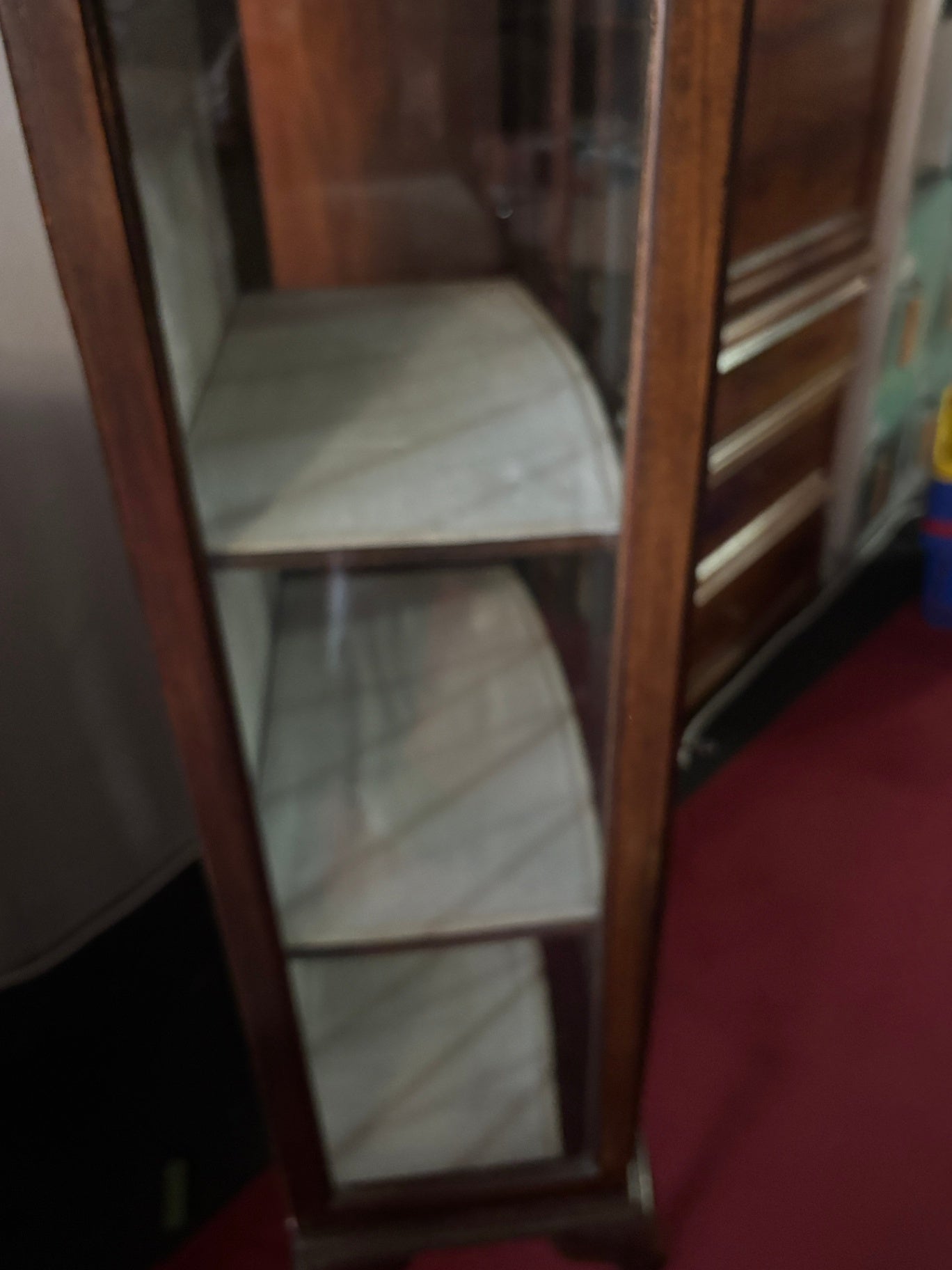 Englische Stilvitrine – geschwungene Front – ca. 59 × 127 × 34 cm